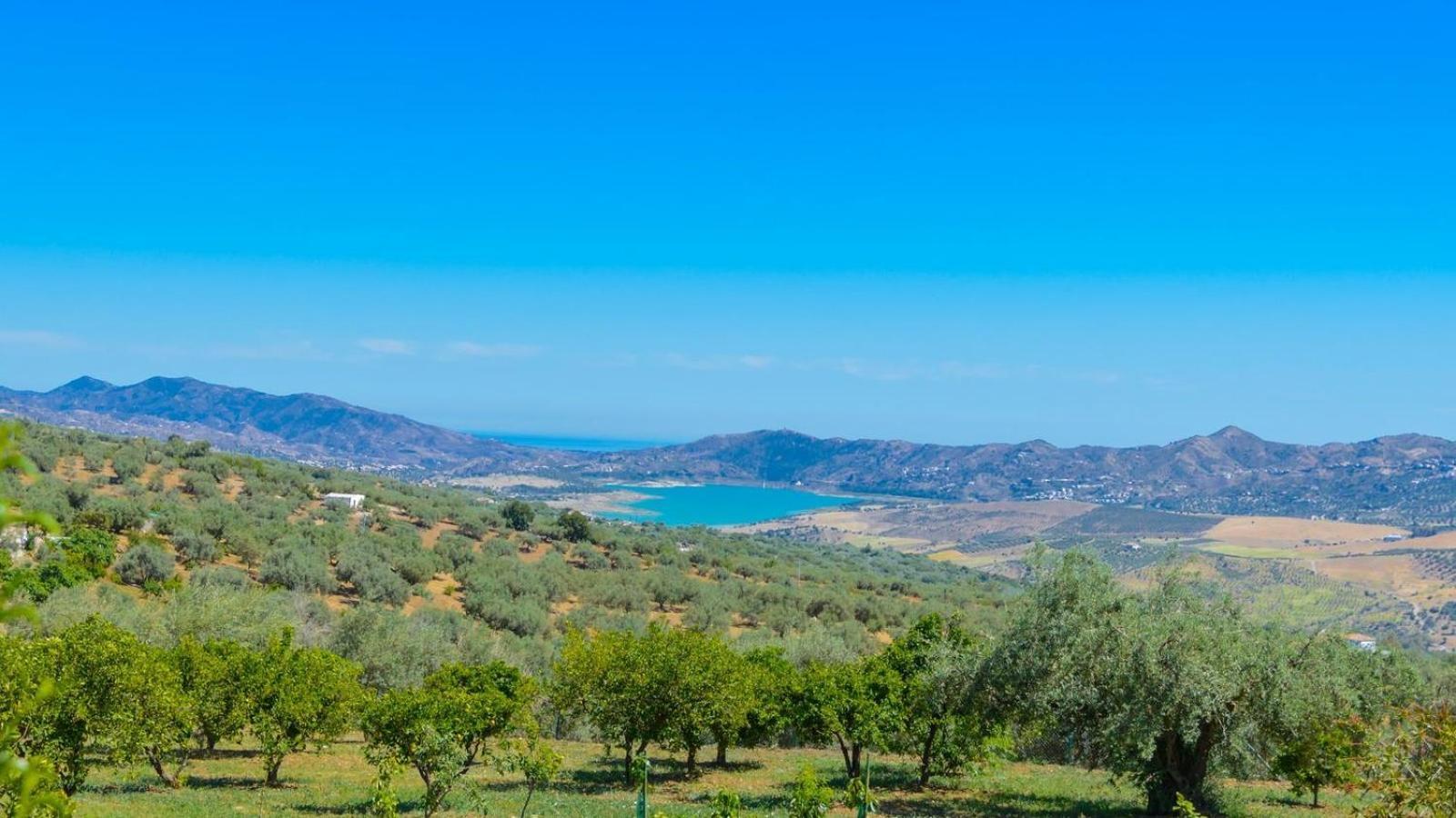 Casa Rural Loma De Moya Periana By Ruralidays Dış mekan fotoğraf